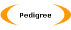 Pedigree